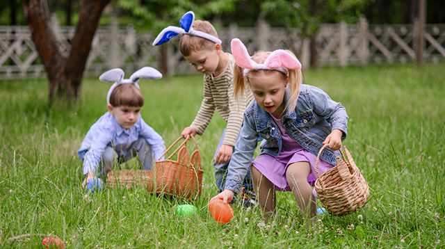 A group of young children with bunny ear headbands search for colorful Easter eggs in tall green grass, holding wicker baskets. 